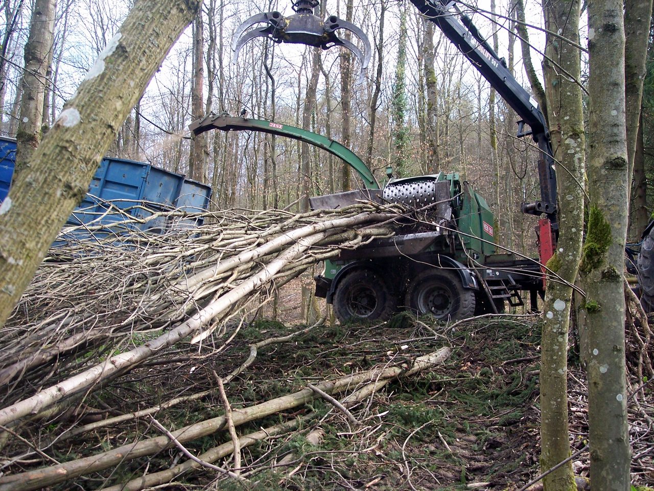 Hacker mit Kran verarbeitet Äste und Schwachholz im Wald